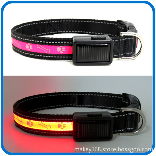 Led Shinning Light Illuminated Pet Dog Collar